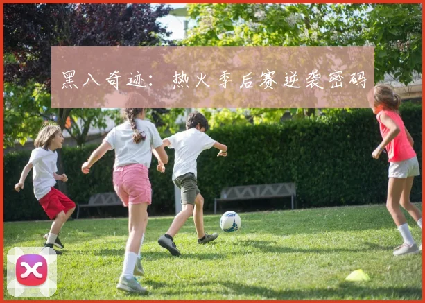 黑八奇迹：热火季后赛逆袭密码