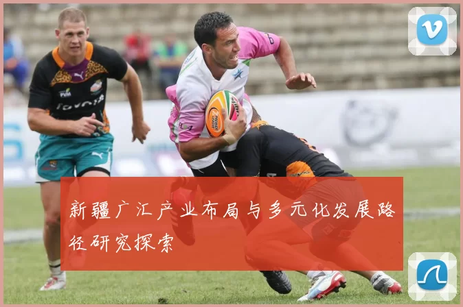 新疆广汇产业布局与多元化发展路径研究探索